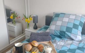 Nowy! apartament przy lesie, garaż, winda